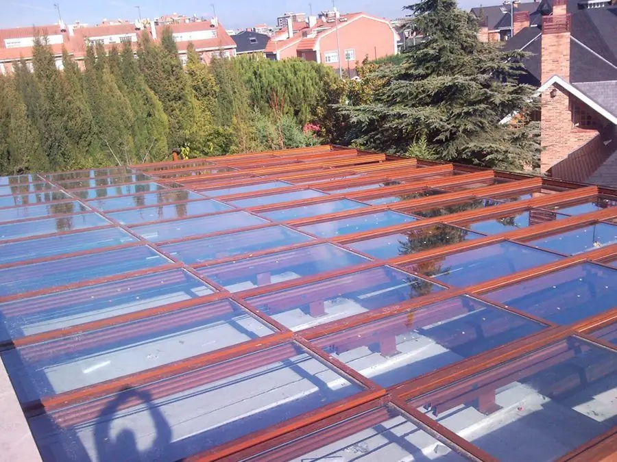 Techo de cristal con perfiles imitación madera junto a pinos
